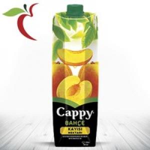 Cappy Bahçe Kayısı Nektarı 1 L