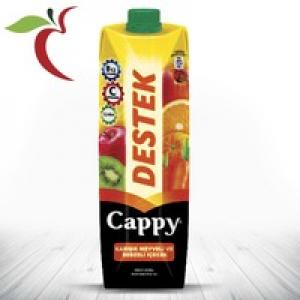 Cappy Destek Karışık Meyveli ve Sebzeli İçecek 1 L